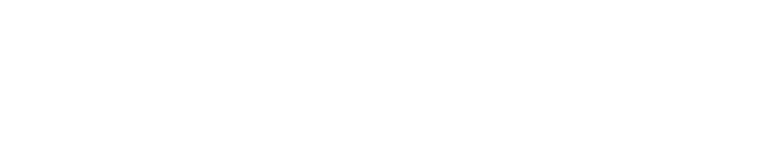 Kingfisher Finance Group